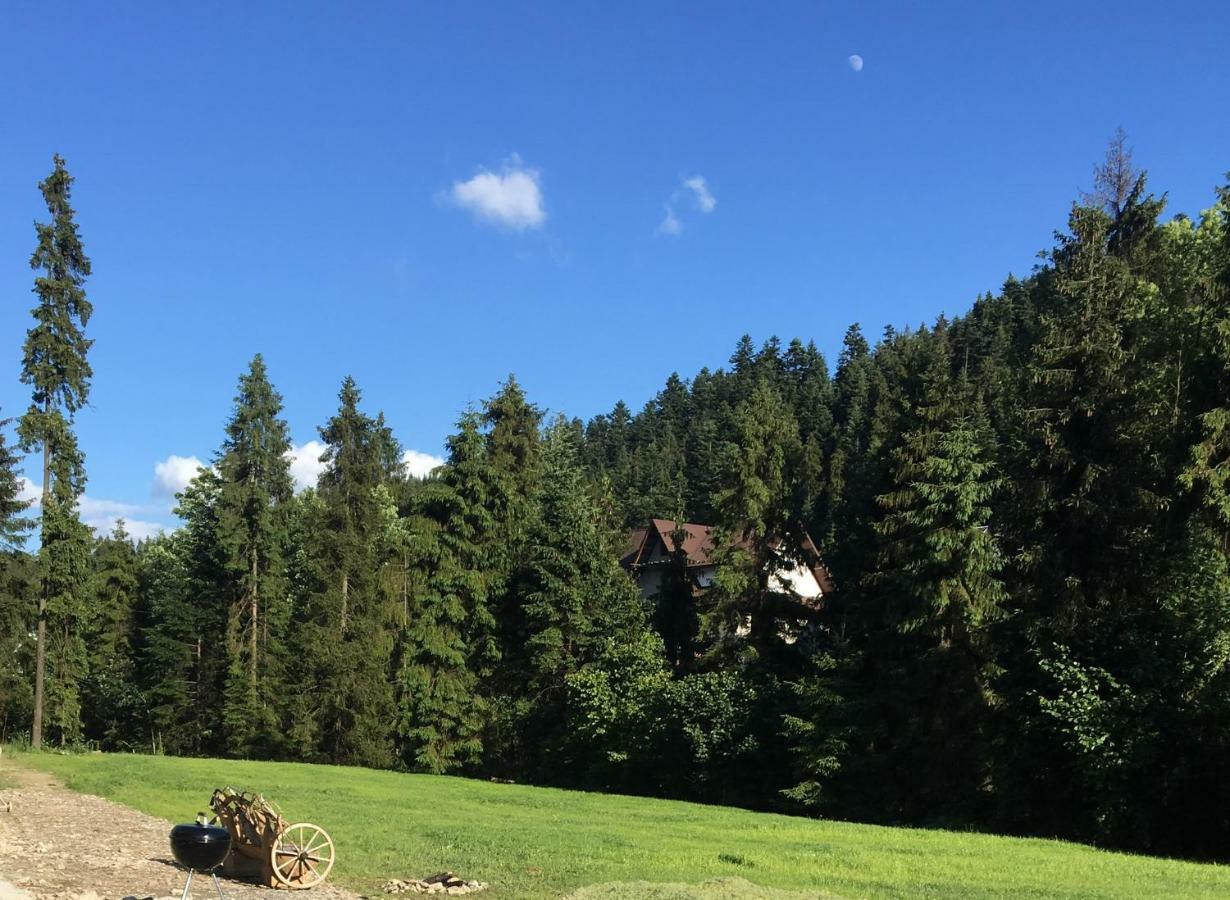 Domek Nad Potokiem Nowy Targ Exteriör bild