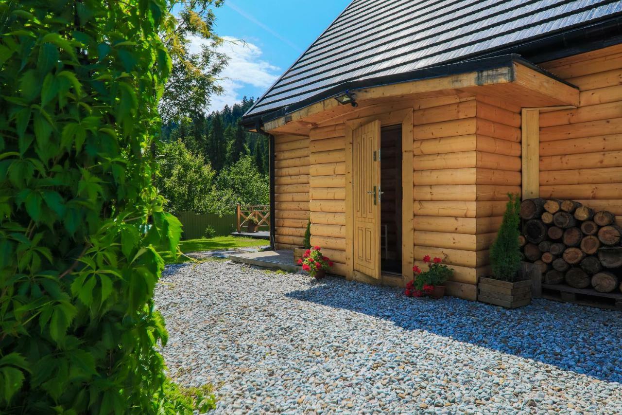 Domek Nad Potokiem Nowy Targ Exteriör bild